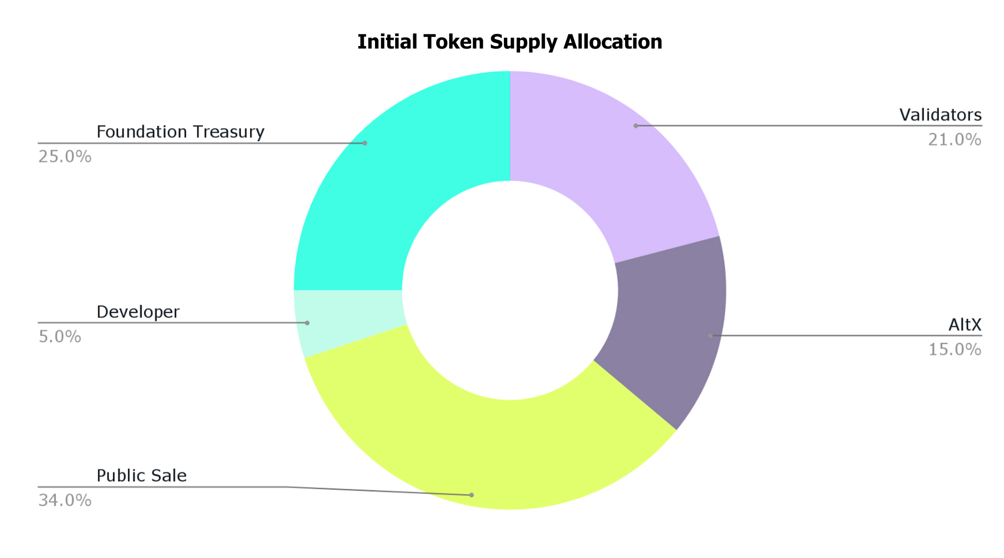 Inital MIZU token supply allocation